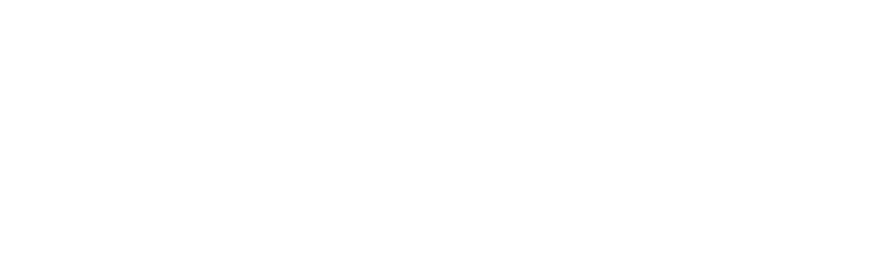 Checkpoint Logo